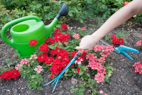 Beautifully mowed lawn in a Muswell Hill garden