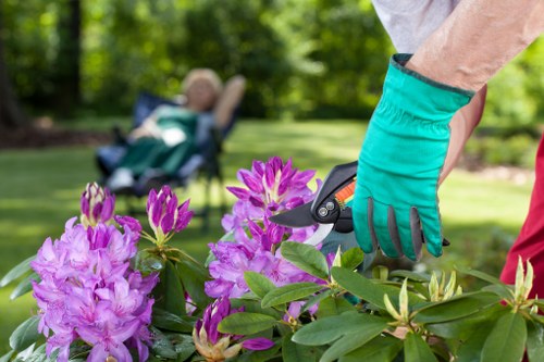 Choosing the right lawn mower for your garden
