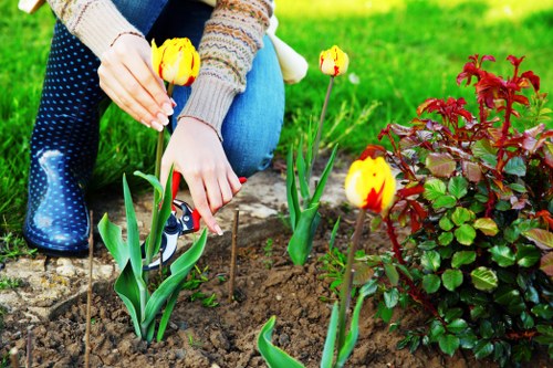Local climate features influencing Muswell Hill gardens