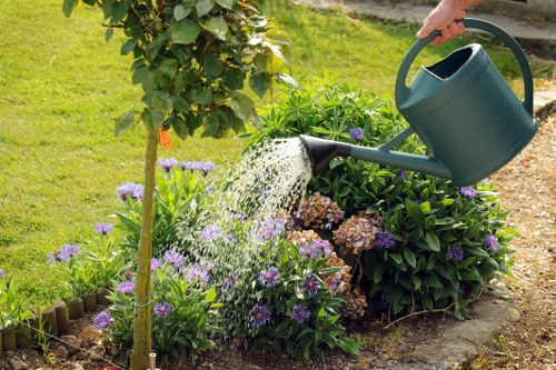 A person's hand is shown watering a garden bed with a green watering can, positioned over a variety of flowering plants and shrubs. The garden is well-maintained, featuring a lush green lawn in the background, bordered by a small wooden edge. The flower bed contains purple, white, and pink blossoms, alongside green foliage. Behind the bed, there is a small tree with reddish-orange flowers or berries, and further in the background, a neatly trimmed hedge and some larger leafy plants can be seen. The scene appears to be outdoors on a sunny day, with natural daylight illuminating the garden. This setting exemplifies typical outdoor gardening practices, suitable for garden maintenance services such as those offered by Lawn Mowing Muswell Hill, in a residential area likely within or near Muswell Hill, N10 postcode.