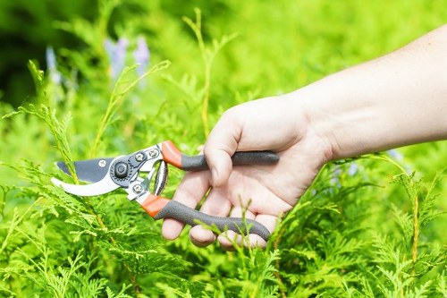Integrated pest management with beneficial insects