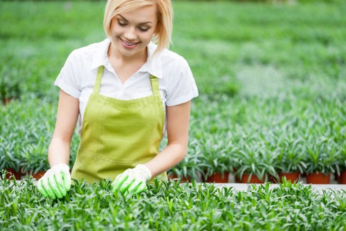 A young woman with short blonde hair, wearing a white shirt, a light green apron, and matching gardening gloves, is tending to a lush, well-maintained garden with vibrant green foliage. She is standing outdoors, in front of a neatly arranged bed of small, dense green plants, likely seedlings or young shrubs, in a garden space that appears organized and cared for. Behind her, there are taller trees and a hedge, providing a natural backdrop for the outdoor environment. The scene is illuminated by natural daylight under overcast or partly cloudy skies, contributing to the soft, even lighting. This setting suggests she might be involved in gardening or landscaping tasks typical of a residential garden, aligning well with professional gardening services offered by Lawn Mowing Muswell Hill in the Muswell Hill area, close to the N10 postcode district. The overall atmosphere reflects attentive garden maintenance and landscape work, with the focus on healthy plant growth and garden organization consistent with local outdoor care services.
