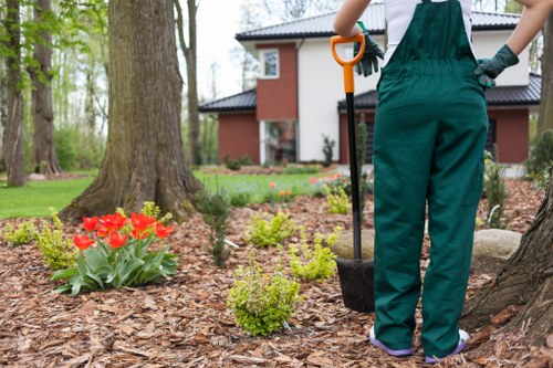 Accessible online form for scheduling lawn maintenance in Muswell Hill
