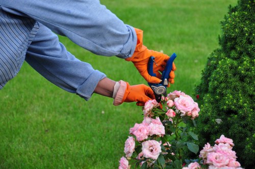Healthy soil with rich compost for plant growth