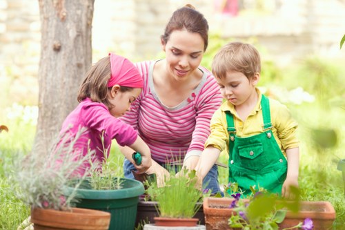 Eco-friendly garden clearance practices in action