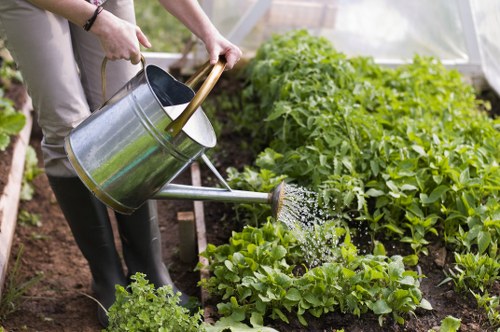 Gardener inspecting a medium rear garden near Alexandra Park