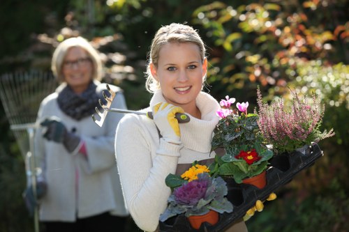Variety of plants suitable for Muswell Hill landscape